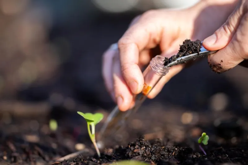 Before You Plant Another Seed: A Field Guide to Testing the Ground Beneath Your Network
